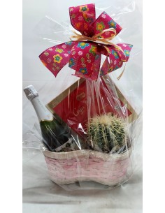 Comprar CISTELLA AMB CACTUS online Barcelona | Flors Joan