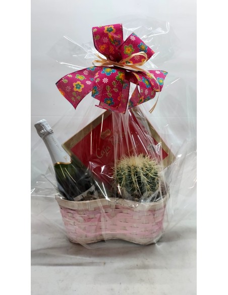 Comprar CISTELLA AMB CACTUS online Barcelona | Flors Joan
