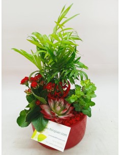 Comprar CESTA BASE CERAMICA online Barcelona | Flors Joan