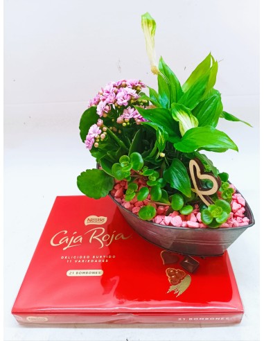 BARCA CON PLANTAS Y BOMBONES