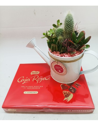 REGADORA CON CACTUS