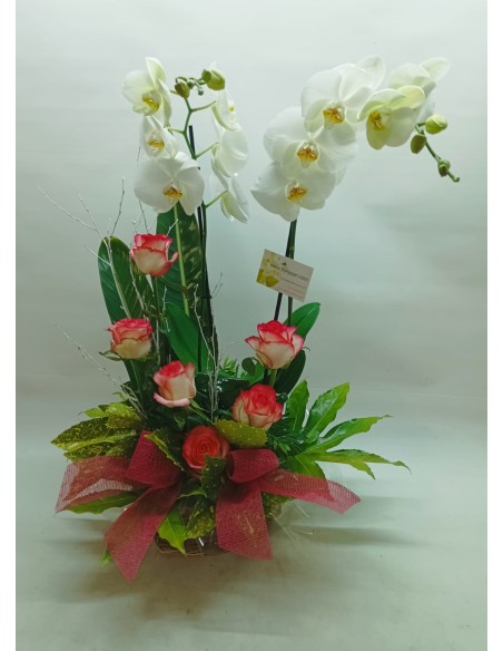 Comprar Centro de Flores Rosas y Orquídea online Barcelona | Flors ...