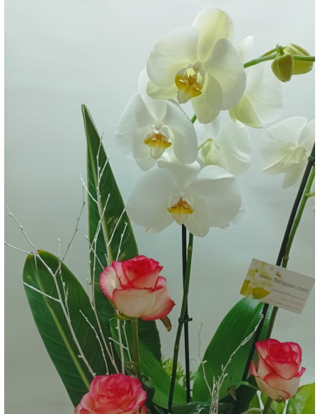 Comprar Centro de Flores Rosas y Orquídea online Barcelona | Flors ...