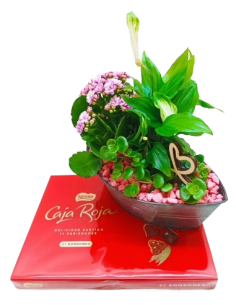 BARCA CON PLANTAS Y BOMBONES