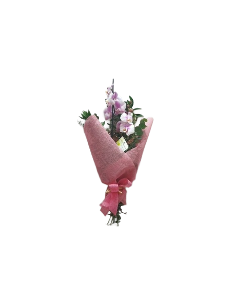 Comprar RAMO DE ORQUÍDEAS online Barcelona | Flors Joan