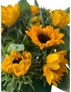 Comprar Ramo de Girasoles online Barcelona | Flors Joan 2