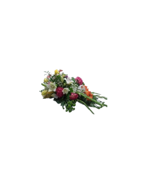 Comprar COJIN HOLANDA online Barcelona | Flors Joan