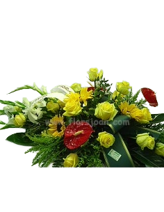 Comprar Cojín de Flores COSTA RICA online Barcelona | Flors Joan