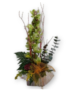Comprar CENTRO DE ORQUÍDEA CIMBIDYUM online Barcelona | Flors Joan