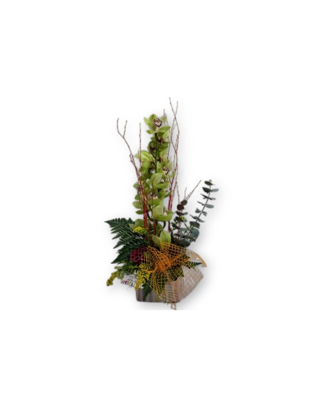 Comprar CENTRO DE ORQUÍDEA CIMBIDYUM online Barcelona | Flors Joan