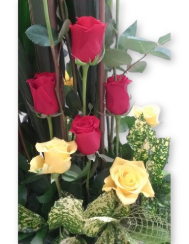 Comprar CENTRO DE ROSAS GRACIA online Barcelona | Flors Joan