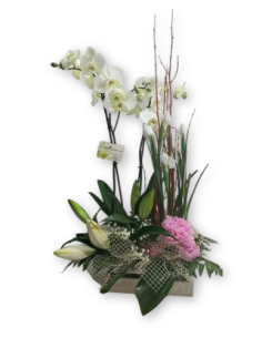 Comprar CENTRO DE FLORES SOLSONÉS online Barcelona | Flors Joan