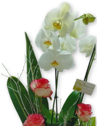 Comprar Centro de Flores Rosas y Orquídea online Barcelona | Flors ...