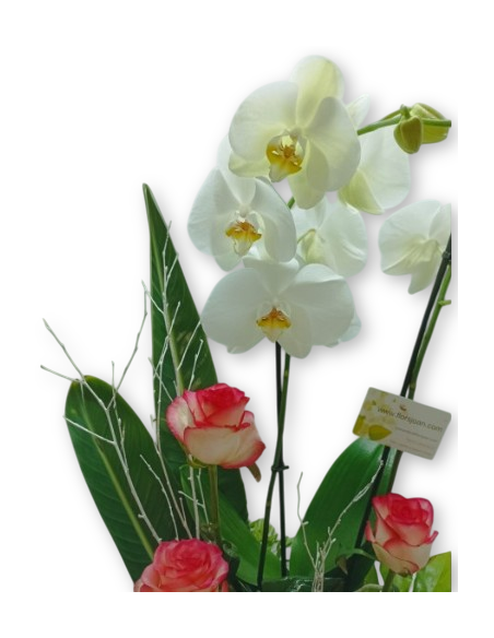 Comprar Centro de Flores Rosas y Orquídea online Barcelona | Flors ...
