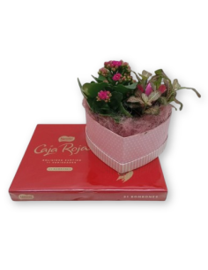 DETALLE PLANTA Y BOMBONES