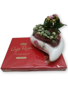 CORAZON DE PLANTAS Y BOMBONES