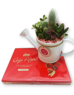 REGADORA CON CACTUS