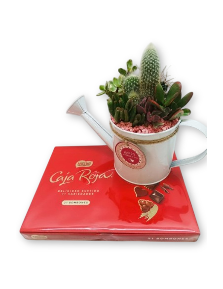 REGADORA CON CACTUS