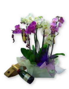 CISTELLA D´ORQUIDIES AMB MOËT & CHANDON