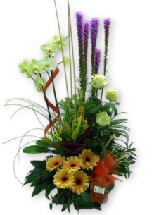 Comprar Centro de Flores Bages online Barcelona | Flors Joan