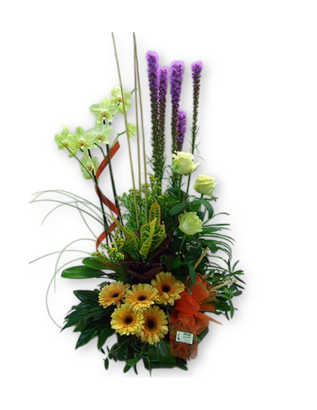 Comprar Centro de Flores Bages online Barcelona | Flors Joan