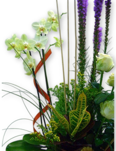 Comprar Centro de Flores Bages online Barcelona | Flors Joan 2