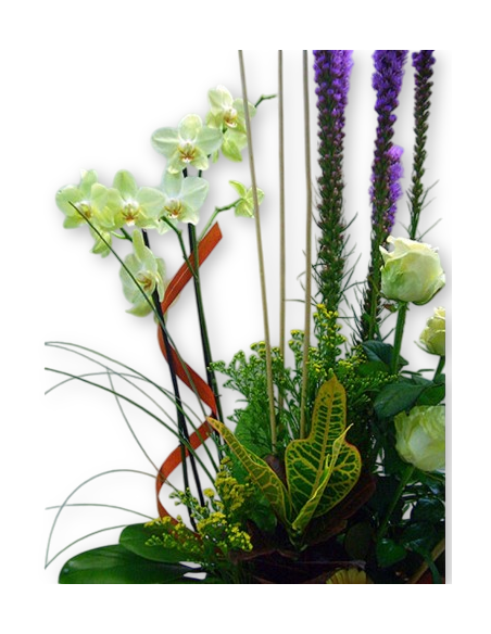 Comprar Centro de Flores Bages online Barcelona | Flors Joan