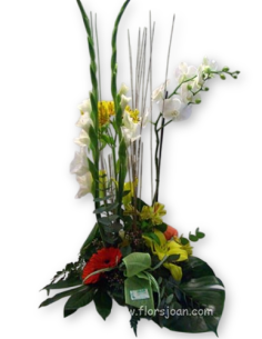 Comprar CENTRO DE FLORES CON ORQUÍDEA online Barcelona | Flors Joan
