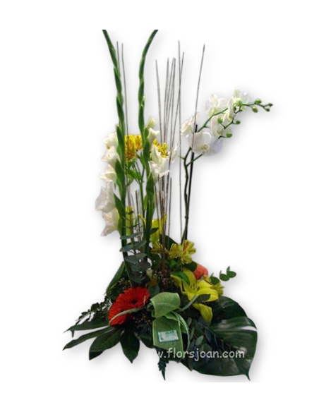 Comprar CENTRO DE FLORES CON ORQUÍDEA online Barcelona | Flors Joan