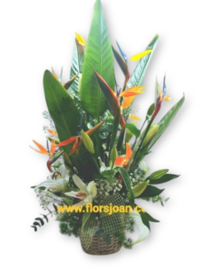Comprar Centro De Flores Anoia online Barcelona | Flors Joan