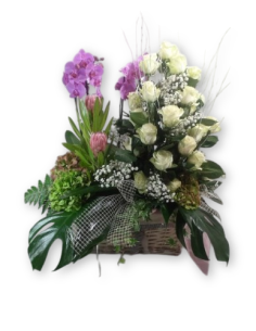 Comprar ORQUIDEAS Y ROSAS online Barcelona | Flors Joan