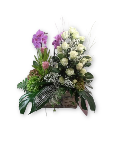 Comprar ORQUIDEAS Y ROSAS online Barcelona | Flors Joan