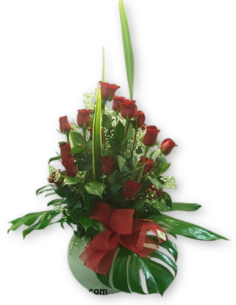 Comprar Rosas en Bola de Cera online Barcelona | Flors Joan