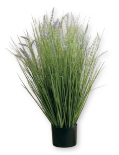 Comprar Grass Lavanda 80 cm online Barcelona | Flors Joan