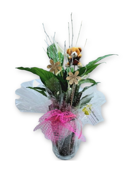 Comprar ESPATIFILO EN BASE DE CRISTAL online Barcelona | Flors Joan