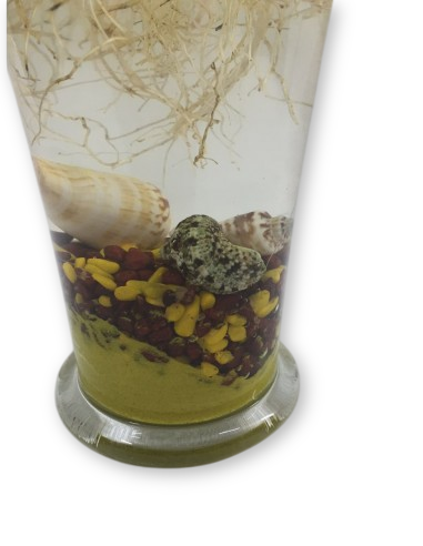 ESPATIFILO I PEIX BETA