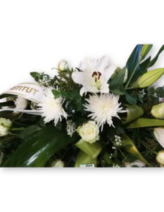 Comprar Esperanza online Barcelona | Flors Joan 2