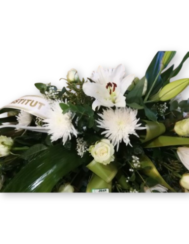 Comprar Esperanza online Barcelona | Flors Joan