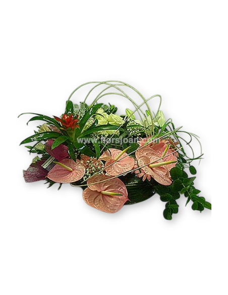 Comprar Corona ANDORRA online Barcelona | Flors Joan