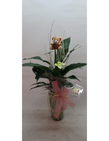 Comprar ESPATIFILO EN BASE DE CRISTAL online Barcelona | Flors Joan