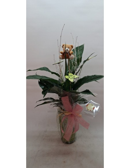 Comprar ESPATIFILO EN BASE DE CRISTAL online Barcelona | Flors Joan