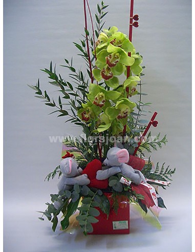 CENTRO CIMBIDYUM CON PELUCHE