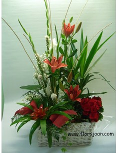 CESTA DE PLANTAS Nº 9