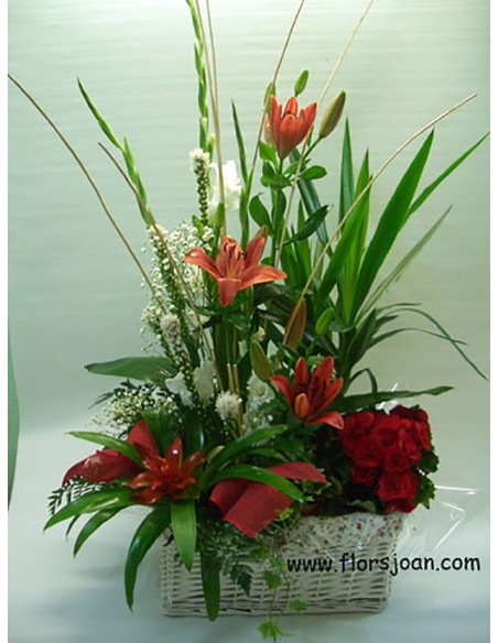 CESTA DE PLANTAS Nº 9