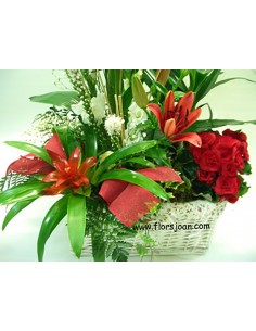 CESTA DE PLANTAS Nº 9 2