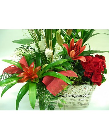 CESTA DE PLANTAS Nº 9