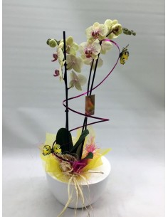 ORQUÍDEA CON BASE DE CERÁMICA