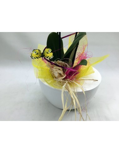 ORQUÍDEA CON BASE DE CERÁMICA