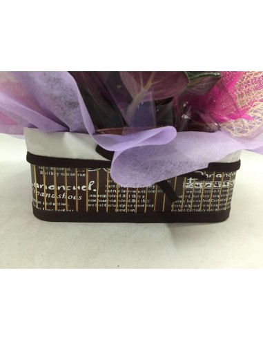 CESTA DE PLANTAS Nº 16