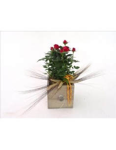 CAJA MADERA CON ROSAL SANT JORDI